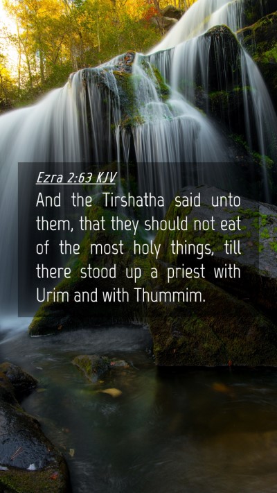 Picture 04 - Ezra 2:63 KJV Mobile Phone Wallpaper - And the Tirshatha said unto them, that they - Mobile Bible Verse Wallpaper