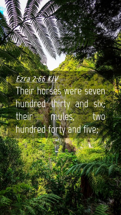 Picture 04 - Ezra 2:66 KJV Mobile Phone Wallpaper - Their horses were seven hundred thirty and six; - Mobile Bible Verse Wallpaper