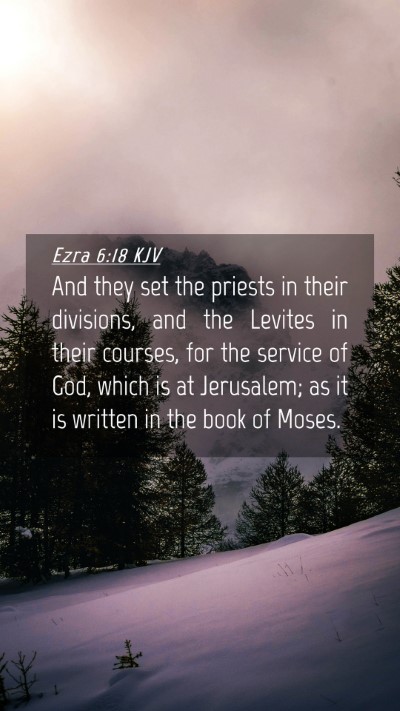 Picture 04 - Ezra 6:18 KJV Mobile Phone Wallpaper - And they set the priests in their divisions, and - Mobile Bible Verse Wallpaper