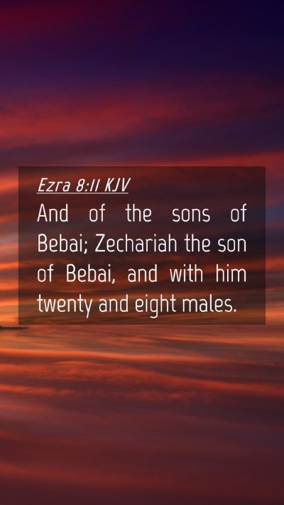 Picture 04 - Ezra 8:11 KJV Mobile Phone Wallpaper - And of the sons of Bebai; Zechariah the son of - Mobile Bible Verse Wallpaper