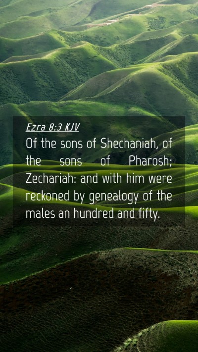 Picture 04 - Ezra 8:3 KJV Mobile Phone Wallpaper - Of the sons of Shechaniah, of the sons of - Mobile Bible Verse Wallpaper