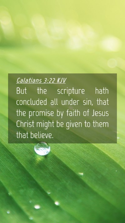 Picture 04 - Galatians 3:22 KJV Mobile Phone Wallpaper - But the scripture hath concluded all under sin, - Mobile Bible Verse Wallpaper