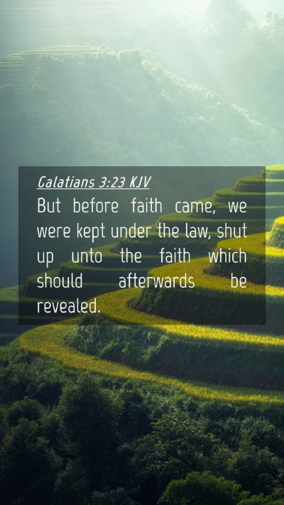 Picture 04 - Galatians 3:23 KJV Mobile Phone Wallpaper - But before faith came, we were kept under the - Mobile Bible Verse Wallpaper