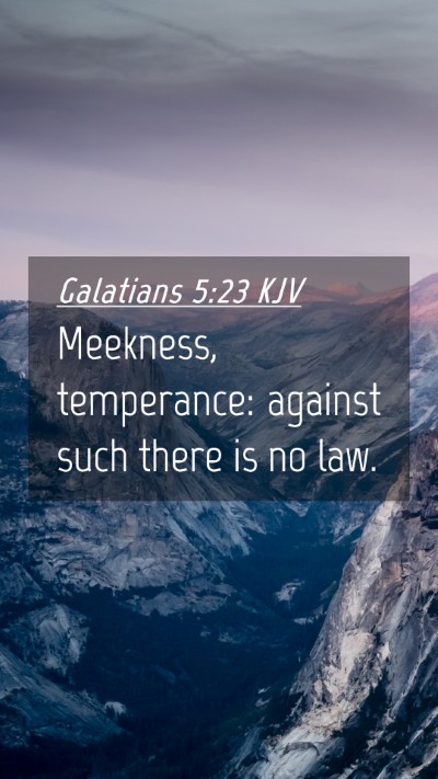 Picture 04 - Galatians 5:23 KJV Mobile Phone Wallpaper - Meekness, temperance: against such there is no - Mobile Bible Verse Wallpaper