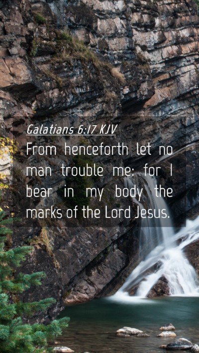 Picture 04 - Galatians 6:17 KJV Mobile Phone Wallpaper - From henceforth let no man trouble me: for I bear - Mobile Bible Verse Wallpaper