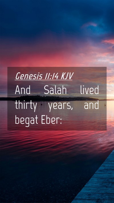 Picture 04 - Genesis 11:14 KJV Mobile Phone Wallpaper - And Salah lived thirty years, and begat - Mobile Bible Verse Wallpaper