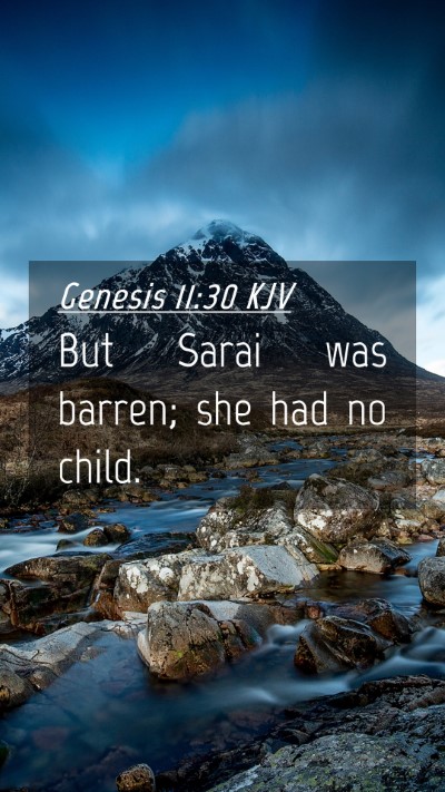 Picture 04 - Genesis 11:30 KJV Mobile Phone Wallpaper - But Sarai was barren; she had no - Mobile Bible Verse Wallpaper