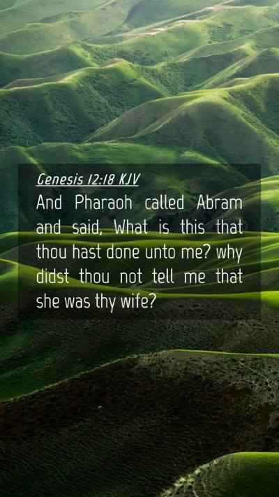 Picture 04 - Genesis 12:18 KJV Mobile Phone Wallpaper - And Pharaoh called Abram and said, What is this - Mobile Bible Verse Wallpaper