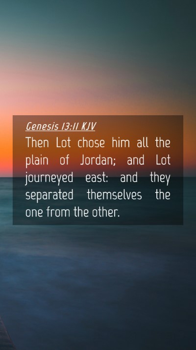 Picture 04 - Genesis 13:11 KJV Mobile Phone Wallpaper - Then Lot chose him all the plain of Jordan; and - Mobile Bible Verse Wallpaper