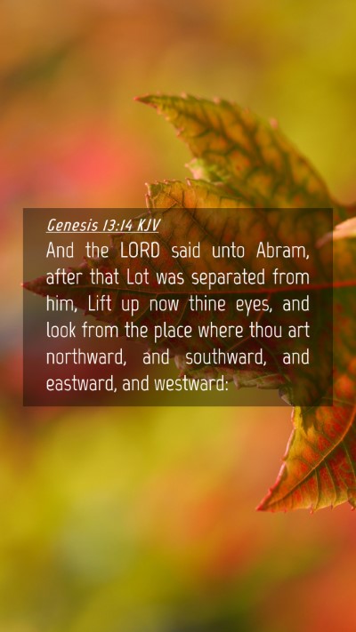 Picture 04 - Genesis 13:14 KJV Mobile Phone Wallpaper - And the LORD said unto Abram, after that Lot was - Mobile Bible Verse Wallpaper