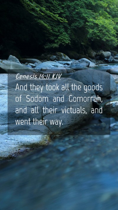 Picture 04 - Genesis 14:11 KJV Mobile Phone Wallpaper - And they took all the goods of Sodom and - Mobile Bible Verse Wallpaper