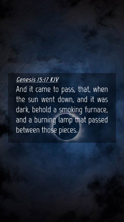 Picture 04 - Genesis 15:17 KJV Mobile Phone Wallpaper - And it came to pass, that, when the sun went - Mobile Bible Verse Wallpaper