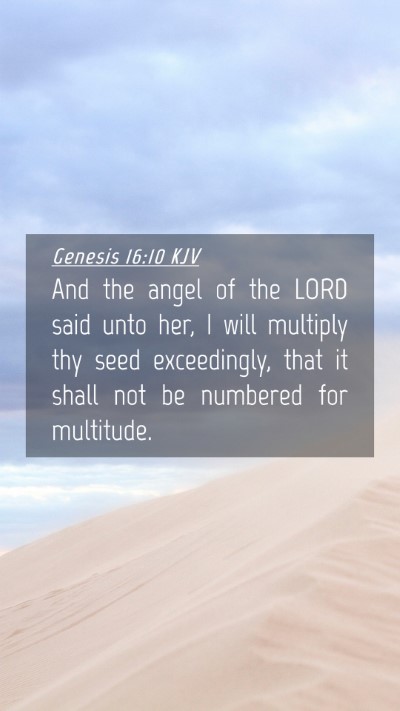 Picture 04 - Genesis 16:10 KJV Mobile Phone Wallpaper - And the angel of the LORD said unto her, I will - Mobile Bible Verse Wallpaper