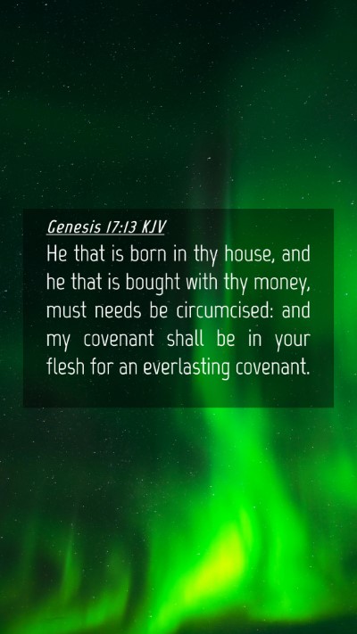 Picture 04 - Genesis 17:13 KJV Mobile Phone Wallpaper - He that is born in thy house, and he that is - Mobile Bible Verse Wallpaper