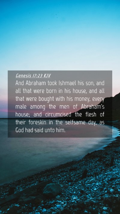 Picture 04 - Genesis 17:23 KJV Mobile Phone Wallpaper - And Abraham took Ishmael his son, and all that - Mobile Bible Verse Wallpaper