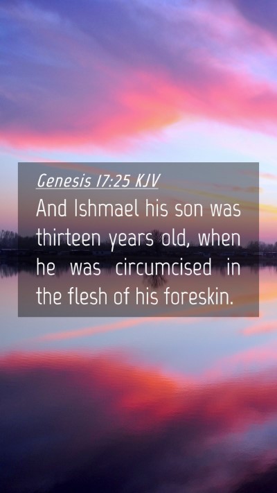 Picture 04 - Genesis 17:25 KJV Mobile Phone Wallpaper - And Ishmael his son was thirteen years old, when - Mobile Bible Verse Wallpaper