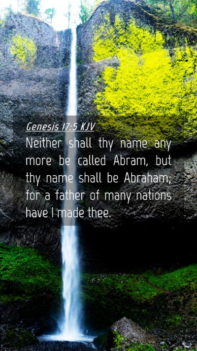 Picture 04 - Genesis 17:5 KJV Mobile Phone Wallpaper - Neither shall thy name any more be called Abram, - Mobile Bible Verse Wallpaper
