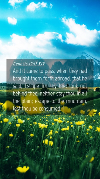 Picture 04 - Genesis 19:17 KJV Mobile Phone Wallpaper - And it came to pass, when they had brought them - Mobile Bible Verse Wallpaper
