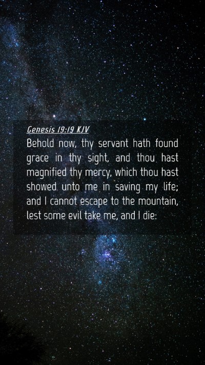 Picture 04 - Genesis 19:19 KJV Mobile Phone Wallpaper - Behold now, thy servant hath found grace in thy - Mobile Bible Verse Wallpaper