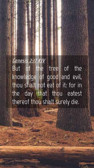 Picture 04 - Genesis 2:17 KJV Mobile Phone Wallpaper - But of the tree of the knowledge of good and - Mobile Bible Verse Wallpaper