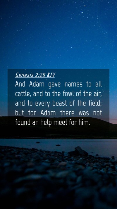 Picture 04 - Genesis 2:20 KJV Mobile Phone Wallpaper - And Adam gave names to all cattle, and to the - Mobile Bible Verse Wallpaper