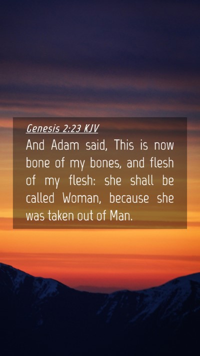 Picture 04 - Genesis 2:23 KJV Mobile Phone Wallpaper - And Adam said, This is now bone of my bones, and - Mobile Bible Verse Wallpaper