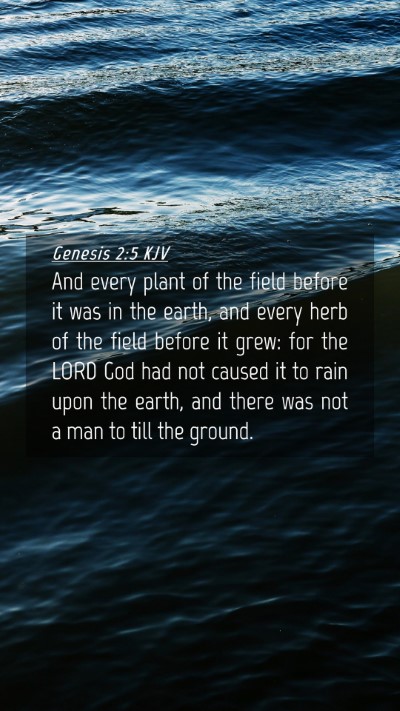 Picture 04 - Genesis 2:5 KJV Mobile Phone Wallpaper - And every plant of the field before it was in the - Mobile Bible Verse Wallpaper
