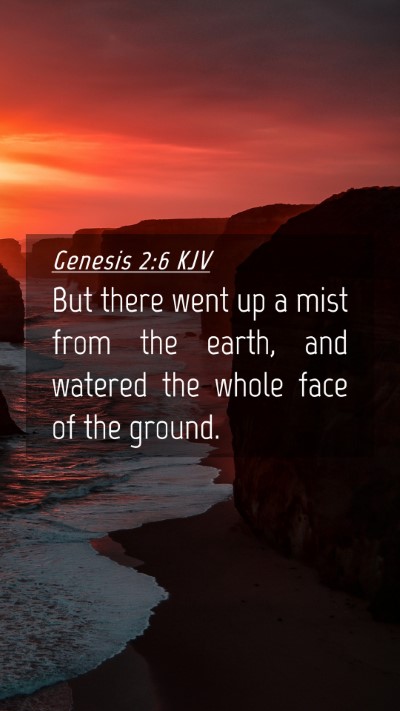 Picture 04 - Genesis 2:6 KJV Mobile Phone Wallpaper - But there went up a mist from the earth, and - Mobile Bible Verse Wallpaper