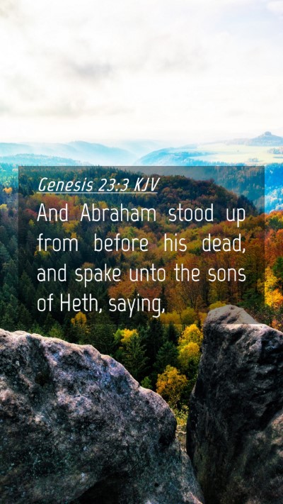 Picture 04 - Genesis 23:3 KJV Mobile Phone Wallpaper - And Abraham stood up from before his dead, and - Mobile Bible Verse Wallpaper