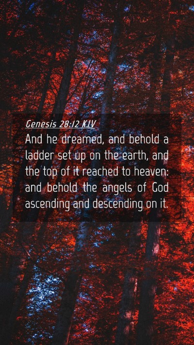 Picture 04 - Genesis 28:12 KJV Mobile Phone Wallpaper - And he dreamed, and behold a ladder set up on the - Mobile Bible Verse Wallpaper
