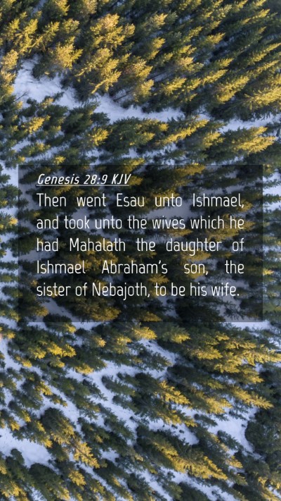Picture 04 - Genesis 28:9 KJV Mobile Phone Wallpaper - Then went Esau unto Ishmael, and took unto the - Mobile Bible Verse Wallpaper