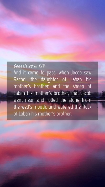 Picture 04 - Genesis 29:10 KJV Mobile Phone Wallpaper - And it came to pass, when Jacob saw Rachel the - Mobile Bible Verse Wallpaper