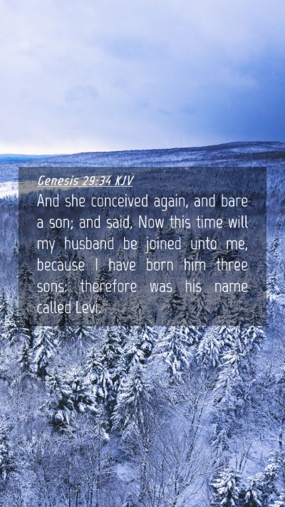 Picture 04 - Genesis 29:34 KJV Mobile Phone Wallpaper - And she conceived again, and bare a son; and - Mobile Bible Verse Wallpaper