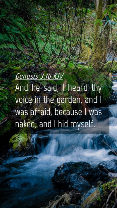 Picture 04 - Genesis 3:10 KJV Mobile Phone Wallpaper - And he said, I heard thy voice in the garden, and - Mobile Bible Verse Wallpaper