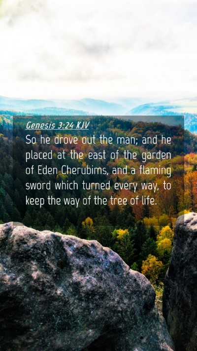 Picture 04 - Genesis 3:24 KJV Mobile Phone Wallpaper - So he drove out the man; and he placed at the - Mobile Bible Verse Wallpaper