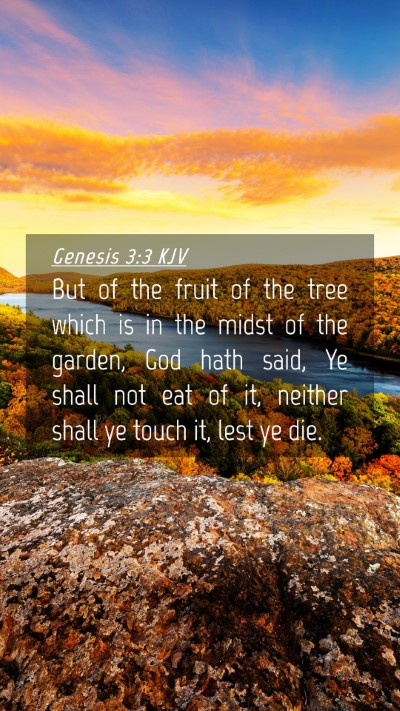 Picture 04 - Genesis 3:3 KJV Mobile Phone Wallpaper - But of the fruit of the tree which is in the - Mobile Bible Verse Wallpaper