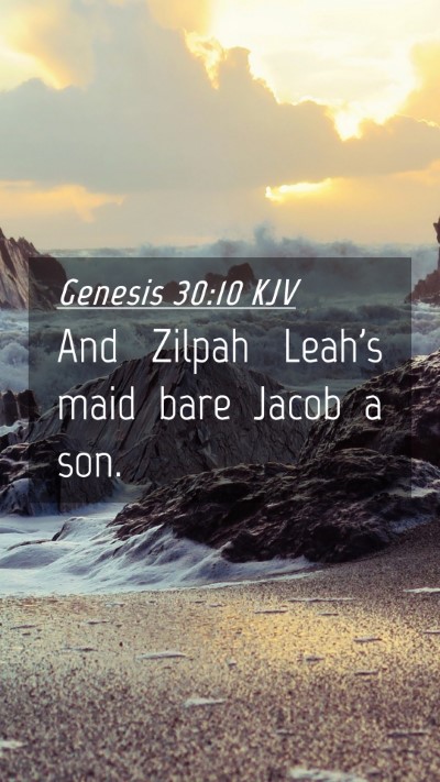 Picture 04 - Genesis 30:10 KJV Mobile Phone Wallpaper - And Zilpah Leah's maid bare Jacob a - Mobile Bible Verse Wallpaper
