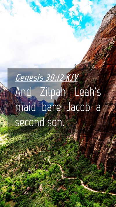 Picture 04 - Genesis 30:12 KJV Mobile Phone Wallpaper - And Zilpah Leah's maid bare Jacob a second - Mobile Bible Verse Wallpaper