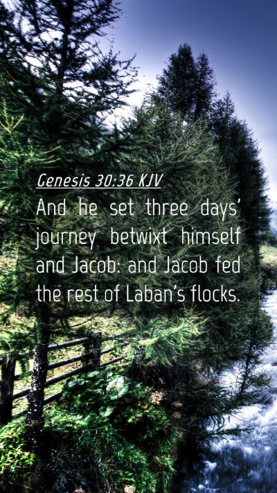 Picture 04 - Genesis 30:36 KJV Mobile Phone Wallpaper - And he set three days' journey betwixt himself - Mobile Bible Verse Wallpaper