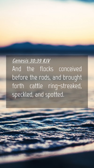 Picture 04 - Genesis 30:39 KJV Mobile Phone Wallpaper - And the flocks conceived before the rods, and - Mobile Bible Verse Wallpaper