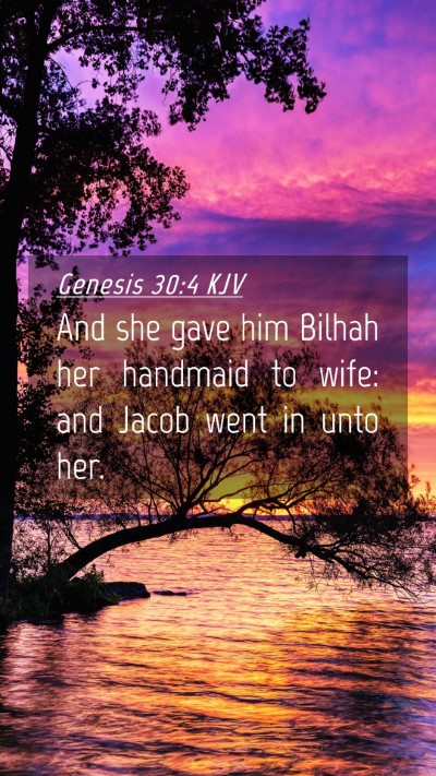 Picture 04 - Genesis 30:4 KJV Mobile Phone Wallpaper - And she gave him Bilhah her handmaid to wife: and - Mobile Bible Verse Wallpaper