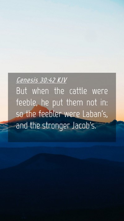 Picture 04 - Genesis 30:42 KJV Mobile Phone Wallpaper - But when the cattle were feeble, he put them not - Mobile Bible Verse Wallpaper