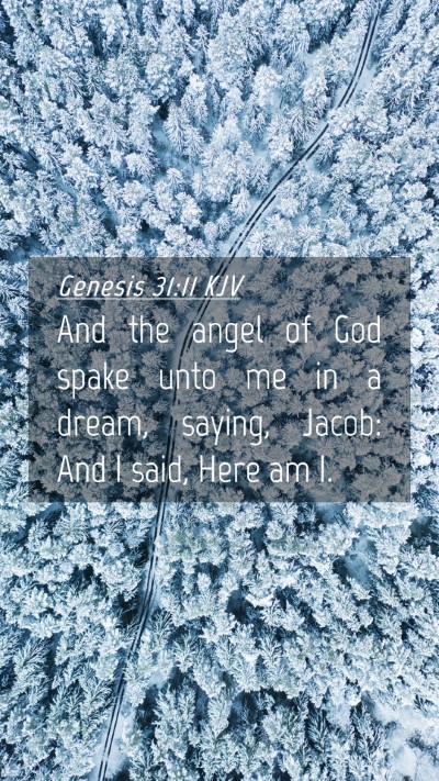 Picture 04 - Genesis 31:11 KJV Mobile Phone Wallpaper - And the angel of God spake unto me in a dream, - Mobile Bible Verse Wallpaper