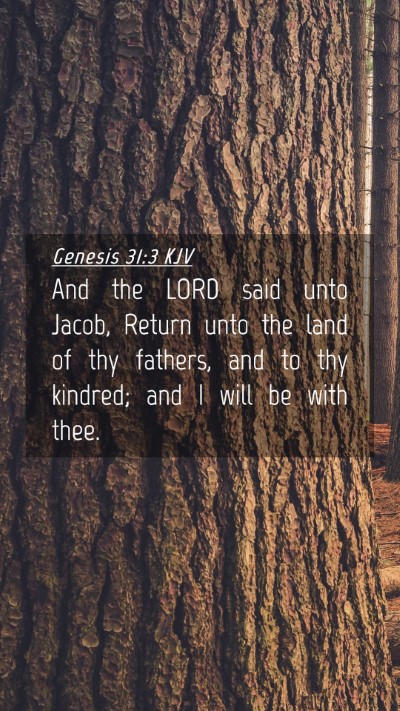 Picture 04 - Genesis 31:3 KJV Mobile Phone Wallpaper - And the LORD said unto Jacob, Return unto the - Mobile Bible Verse Wallpaper