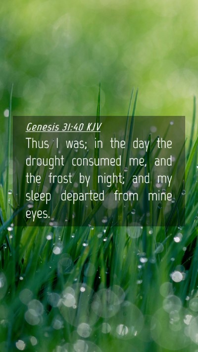 Picture 04 - Genesis 31:40 KJV Mobile Phone Wallpaper - Thus I was; in the day the drought consumed me, - Mobile Bible Verse Wallpaper