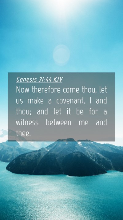 Picture 04 - Genesis 31:44 KJV Mobile Phone Wallpaper - Now therefore come thou, let us make a covenant, - Mobile Bible Verse Wallpaper