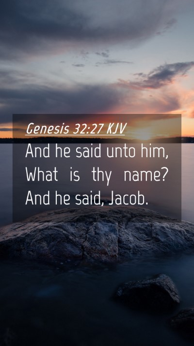 Picture 04 - Genesis 32:27 KJV Mobile Phone Wallpaper - And he said unto him, What is thy name? And he - Mobile Bible Verse Wallpaper