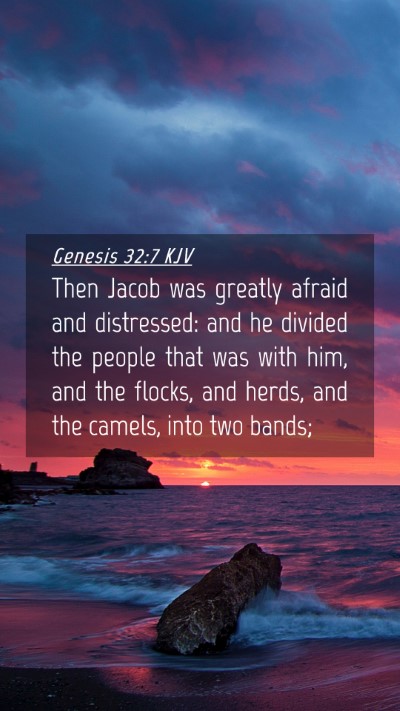 Picture 04 - Genesis 32:7 KJV Mobile Phone Wallpaper - Then Jacob was greatly afraid and distressed: and - Mobile Bible Verse Wallpaper