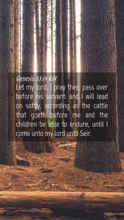 Picture 04 - Genesis 33:14 KJV Mobile Phone Wallpaper - Let my lord, I pray thee, pass over before his - Mobile Bible Verse Wallpaper