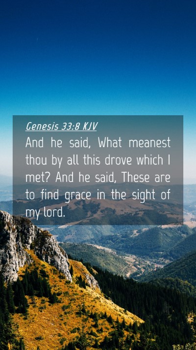 Picture 04 - Genesis 33:8 KJV Mobile Phone Wallpaper - And he said, What meanest thou by all this drove - Mobile Bible Verse Wallpaper